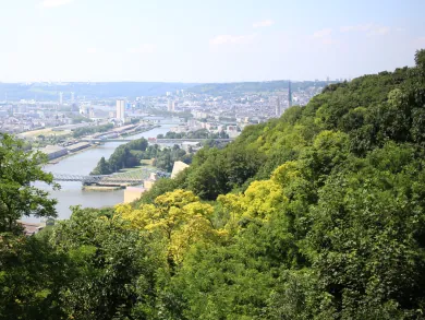 Les coteaux boisés de Bonsecours au-dessus de la Seine